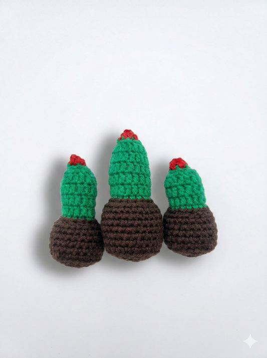 Pack 3 Cactus decorativos